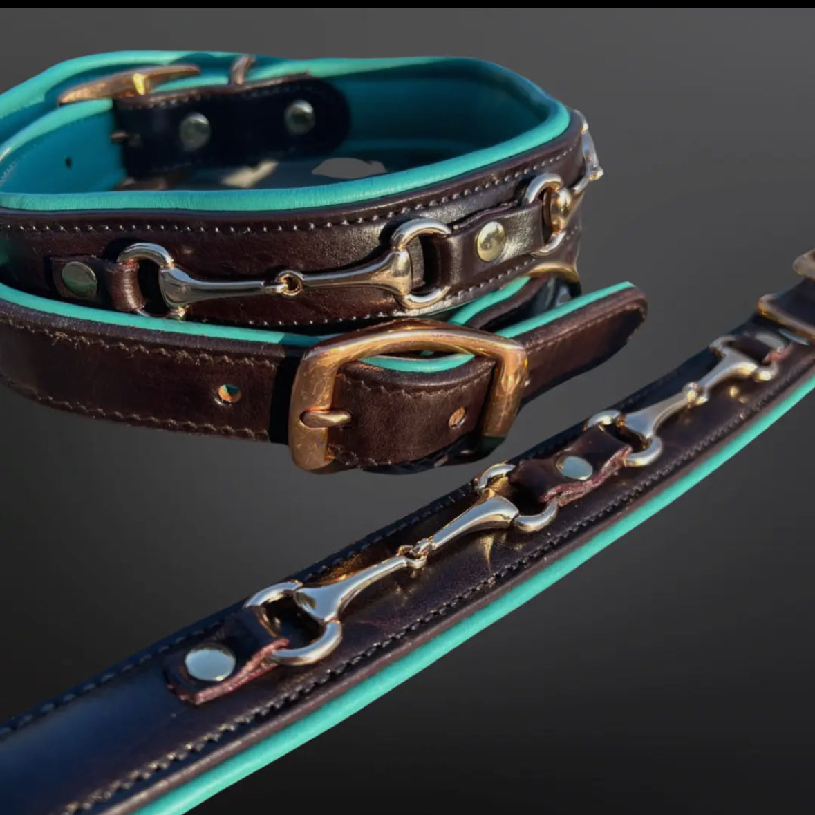 Equestrian Snaffle Bit Dog Collar