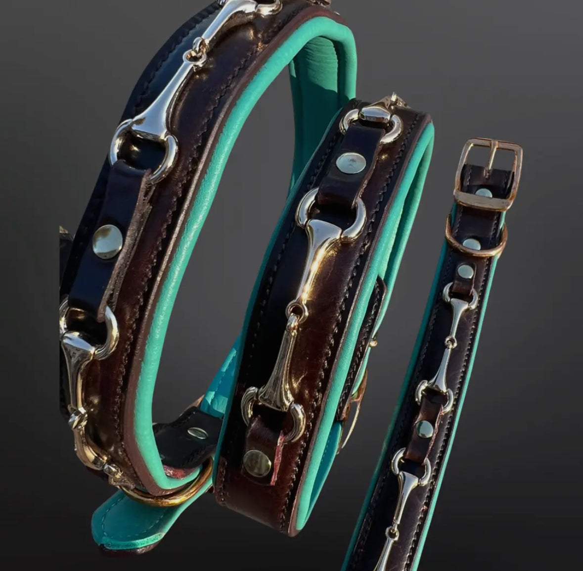Equestrian Snaffle Bit Dog Collar